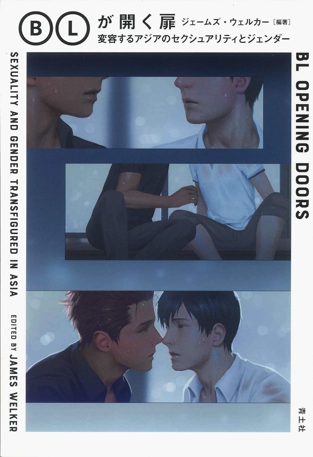 『BLが開く扉　―変容するアジアのセクシュアリティとジェンダー』 ジェームズ・ウェルカー 〈青土社〉