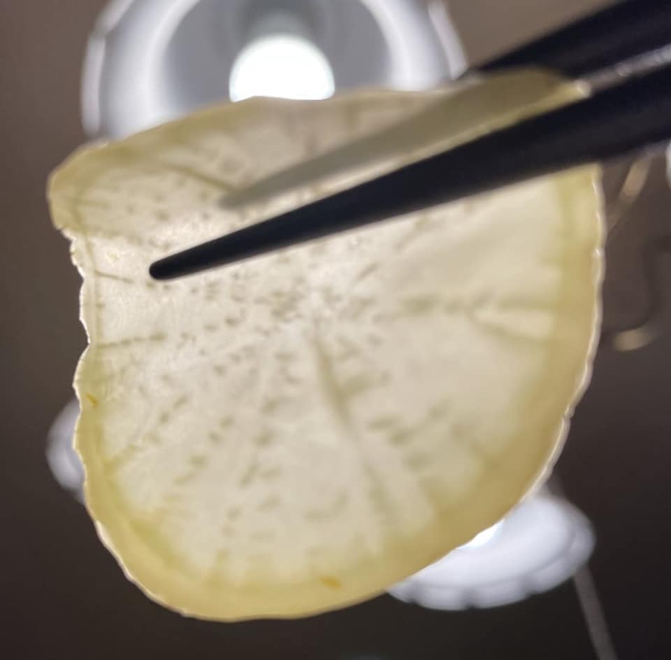 透けるほど薄い沢庵『鬼太郎誕生 ゲゲゲの謎』より