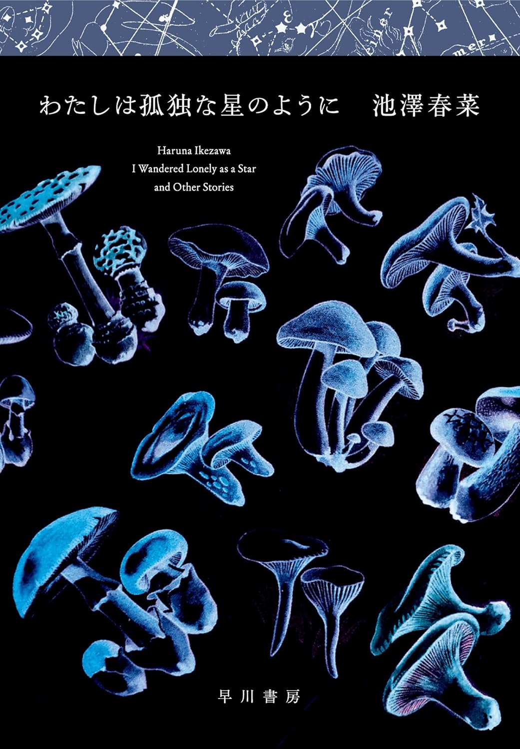 「糸は赤い、糸は白い」池澤春奈『わたしは孤独な星のように』収録〈早川書房〉